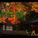 낙엽커피