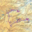 기막힌 동거 이미지