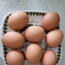 (주)현대리싸이클링 이미지