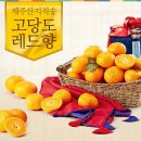 나영농장 이미지