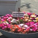 풍남파크 | 11. 月間日記 - 2024년 7월