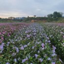 우신목장 이미지