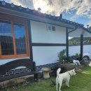 진도한옥펜션 이미지