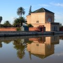 과수원 피스 이미지