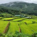 산내면 상황마을 이미지