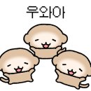 창원모자
