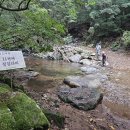 거봉