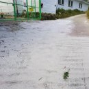 중수농장 이미지