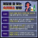 💕 체질별 잘 맞는 음식과 술 이미지