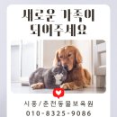 동물보육원 고양이 후원 카페 | 🐾 당근마켓을 통해 전해주신 따뜻한 고양이 사료 후원 후기