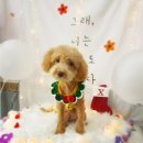 늘이쁘개 이미지