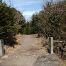 곶자왈거문오름 이미지