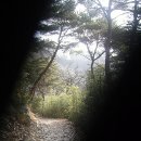감응사 - 1871 | 감응사