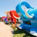 흰수염고래리조트 이미지