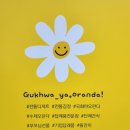 국화야오란다