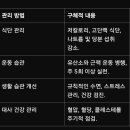 신진종합관리 이미지