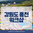 강촌카써비스 | 강원도 홍천 워크샵, 세미나에 기업여행으로 딱! 소노벨 비발디파크 마이스팩토리와 함께