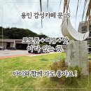 115 | 용인 감성카페 추천 | 문115(MOON115 CAFE) 후기 – 아이와 함께 즐기는 자연 속 힐링 포토존 카페