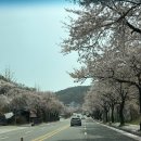 디지털카메라 사진예술 | [공주 1박 2일 Trip🧳] 공쥬들의 공주여행일기