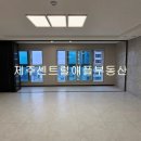 제주센트럴애플부동산중개