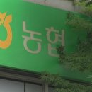 '70억 횡령' 파주농협 직원, 음주운전하다 체포 이미지