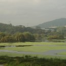 금호강9 이미지