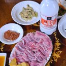 오리와 쭈꾸미 이미지