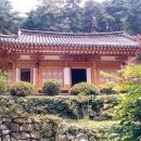 녹두꽃 피다(50) 이미지