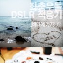 좌충우돌 DSLR 적응기 5_바다에 가자! ①