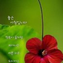 예쁜하루