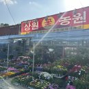 상원농원 이미지