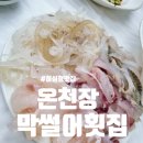 부산온천동횟집 허심청맛집 온천장 막썰어횟집