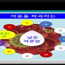 대림교육연구소 이미지