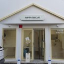 퍼피비스킷 이미지