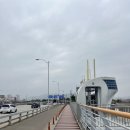 낙동가람 | 부산 벚꽃축제 명소 추천 낙동가람끝공원 주차장 꿀팁