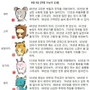 2025년 9월 3일 오늘의 운세 이미지