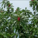 영지농장 이미지