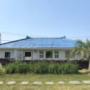 온온종달 이미지