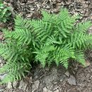 수연 약수터 이미지