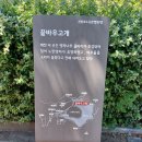 울산 선암호수공원 둘레길(2021.07.26) 이미지