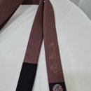 미즈노 중랑점 | 심자수_유도띠 자수, 유도벨트 자수, 주짓수 벨트자수, 띠자수, 벨트 자수, 이름 자수, 도복 자수...