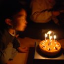 세쌍둥이네 풀꽃세상 이미지