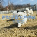 관악구가족행복센터 이미지