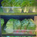 늘목농장 | 영종도 늘목쌈밥, 야채로 배부른 건강한 한 끼