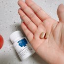 벨라 | NMN 효능, 뉴벨라 NMN 솔직후기