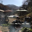 광수농장 이미지