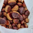 도덕농장 이미지