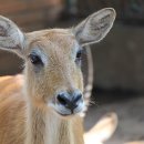 산북파출소 이미지