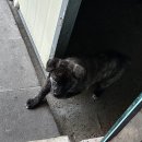 수안식육식당 이미지