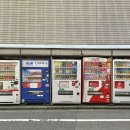 일본 여행🇯🇵 | 도쿄 2일차 기록 + 도쿄 여행지 추천